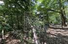 Teren in Cisnadie - 1.500 mp, inainte de Tocile, acces la drum, invest - 3