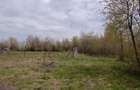 Teren 3500mp, 7parcele, Dealul Grosi-Castel Transilvania - 8