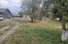 Vanzare construc?ii (hale) suprafa?a totala 400 mp ?i teren 8000 mp la DJ 661 in Jupane?ti, GORJ