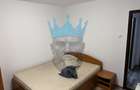 Apartament 3 Camere Parcul Circului Bucuresti - 10