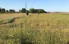 Vanzare teren intravilan Crivat Judetul Calarasi (30 km distanta de Bucuresti)fac - 2
