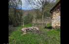 Teren de vis cauta proprietar. - 8