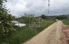 Teren cu autorizatie construire hala in Poplaca - 7