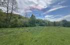 Proprietate OFF-GRID 5,76 Ha. Casa tradi?ionala lemn. Limita Cluj - 16