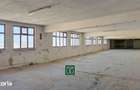 Proprietate multifunctionala - teren generos, cladire si hala in Lugoj - 1