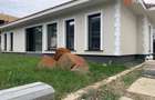 COMISION 0% Casa individuala cu 4 camere la rosu - Zona Girocului - 9