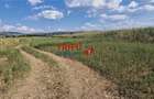 Teren intravilan construibil de 5.900 mp, zona industriala, ?oseaua de - 6