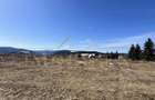 Teren Intravilan de 1804 mp , CF, zona Copcea , Marisel - 5