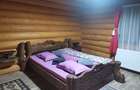 Vand Casa, pensiune, cabana ecologica de lux - 6
