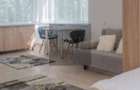 Apartament luminos 1 camera | Zorilor | Str. Meteor | Zona linistita - 6
