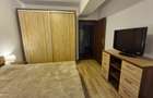Apartament 2 camere Sud, Prosper Center, Mega Image - 3
