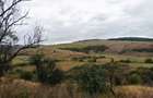 Teren 3,3 ha pentru viata la natura livada, liniste, Strunga Iasi - 2