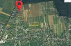 Teren intravilan Peris 10.000 mp pt complex de case, Comision 0 - 5