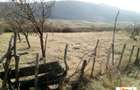 OPORTUNITATE! TEREN EXTRAVILAN ZONA SARD - AMPOITA - 3
