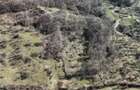 Teren Transfagarasan - 4