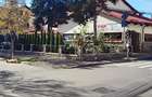 Spatiu comercial ultracentral, in Campina, PH, Parc central Milia, Bdul Carol I - 5