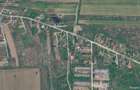 Snagov-str. Piersicariei - 2