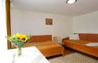 Cladire 350 mp | Sediu firma + birouri/cazare corporate |Dambul Rotund - 2
