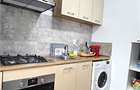 Apartament 1 camera Lunca Cetatuii, Astoria, parcare