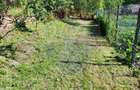 Casa tradi?ionala in Deleni, jude?ul Mure? - 2