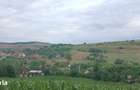 Casa in Camarasu-Cluj, utilitati, asfalt, teren mare intravilan - 3
