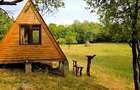 Poiană privată, pădure și cabană | Proprietate cu potențial turistic - 11