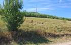 Proprietar Vand teren intravilan, 975 mp, Str. Pietrelor, Piatra Neamt - 4