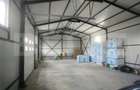 Teren industrial 5000 mp cu 2 hale 400 mp, in Isalnita, cu - 7