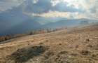 Teren de vanzare ideal pentru cabana Zona Valari, Paltini?(6131 m) - 4