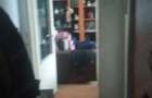 garsoniera mobilata medgidia 21000 euro - 3