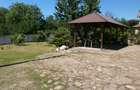 Vand casa cu anexe si gradina 2664 m2, Bascenii de Sus - 8