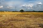 Teren intravilan 4433m de vanzare Magurele, Centura A0, URGENT! - 2