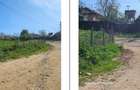 Teren Bradesti, ID: R2805453 - 6