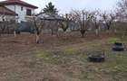 Vils la gri in Buftea, Strada Indepententei,NR 8 ,Calul Balan - 5