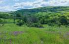 Vand teren.Panorama de vis.