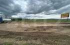 Teren intravilan, 8000 mp, DN 71 - 4