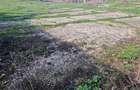 FERMA 6.5 ha intravilan-Parc industrial/logistic . Posibilitate de parcelare. Toate utilitatile - 7