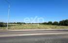 Teren intravilan premium 15.000 mp la DN61 langa Centura Gaesti acces - 3