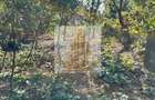 Casă individuală Plopi, 60 mp utili, teren 477 mp, necesită renovare