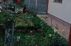 Casa individuala parter Sanandrei Teren 700 mp Direct Proprietar