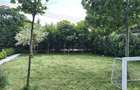 Mihai Bravu, Parcul Natural Comana la 30 km Bucuresti, jud. Giurgiu
