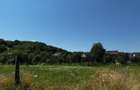 Teren intravilan de vanzare - Salatrucel, Valcea - 6