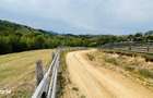 Teren De Vanzare In Zona Purcareti, Jud. Alba. 17800 Mp.