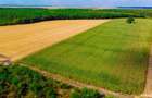 Teren agricol de vanzare- 4,66 Ha - 3