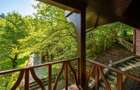 Mountain Chalet | Private Resort | Investment - Nistoresti - 14