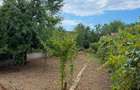 Proprietate deosebita / Casa de vacanta in Parscov, Buzau 213 mp utili, teren 1068 mp, livada si anexe - 1