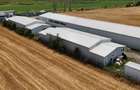CIOLPANI, LOT 5.000 MP, HALE INDUSTRIALE! - 6