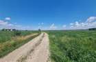 Teren Lunca Siret 2.75 Ha - 1