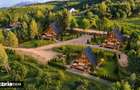 Teren de vanzare, 7300 mp, acces pavat - 11