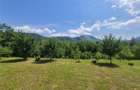 FILM! Oaza paradisiaca cu lac, vedere catre Bucegi, Glajerie Rasnov, p - 17